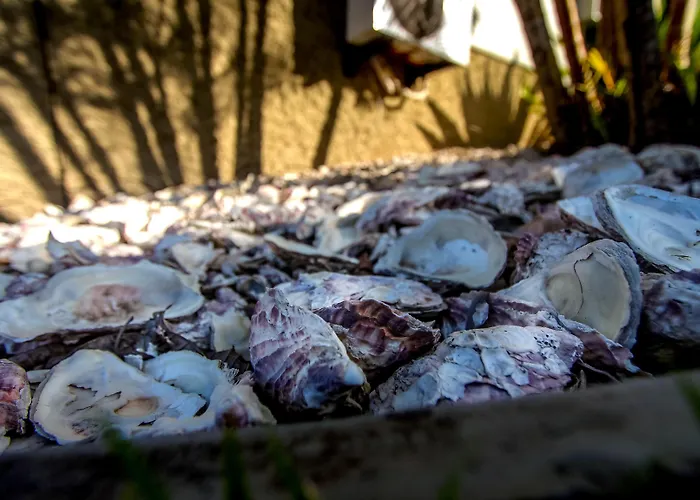 Pousada Porto Do ArvoredoHotel Florianopolis